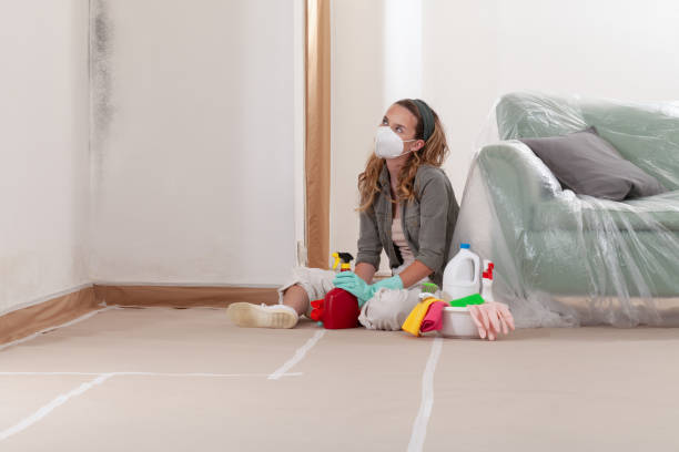 Reliable Commercial Mold Remediation contractor in Sims, NC by 24 Hour Mold Removal